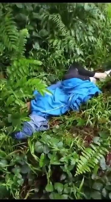 Viral! Diduga Korban Tabrak Lari, Siswi SMA Tewas di Jalan Lintas Pekanbaru-Taluk Kuantan KM 29